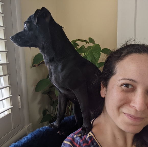 Meet your Posher, Jasmine - Picture 1 of 1